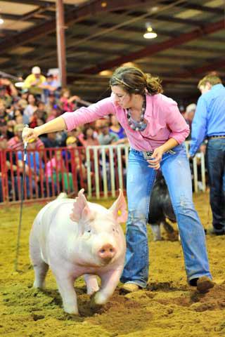 San Antonio Stock Show & Rodeo - FEBRUARY